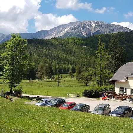 Ferienwohnungen Mamauwiese Gutenstein Екстериор снимка