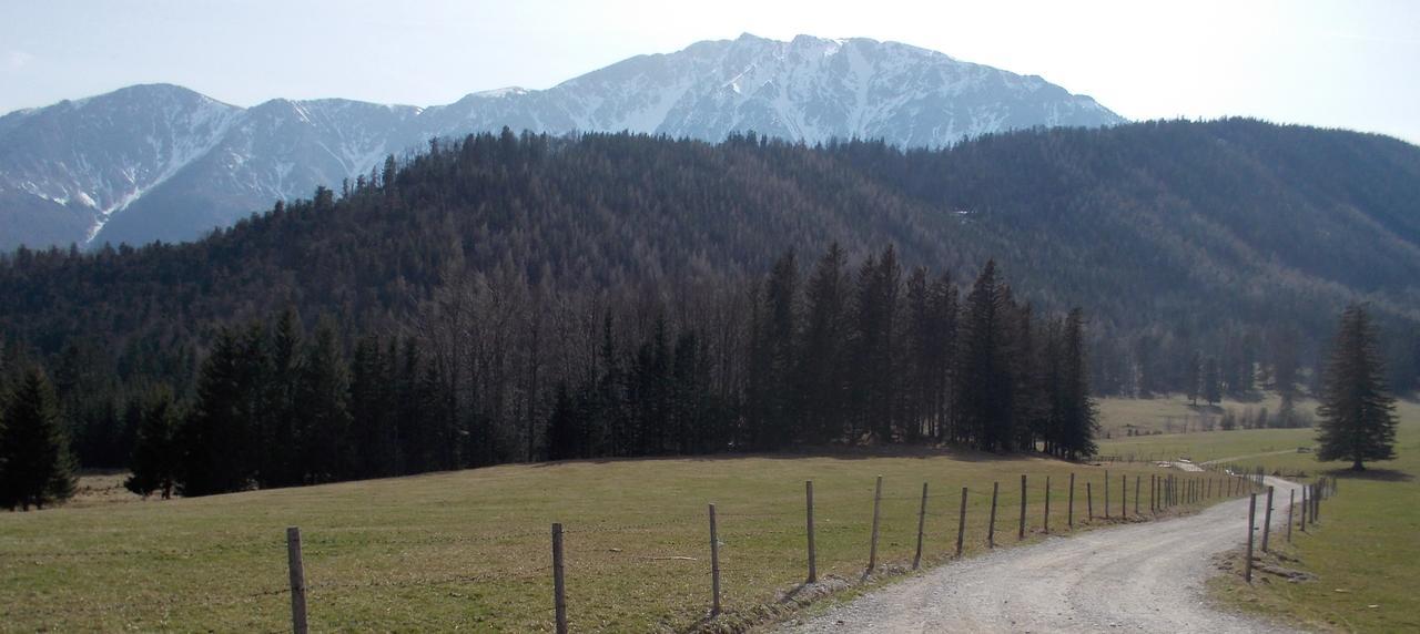 Ferienwohnungen Mamauwiese Gutenstein Екстериор снимка
