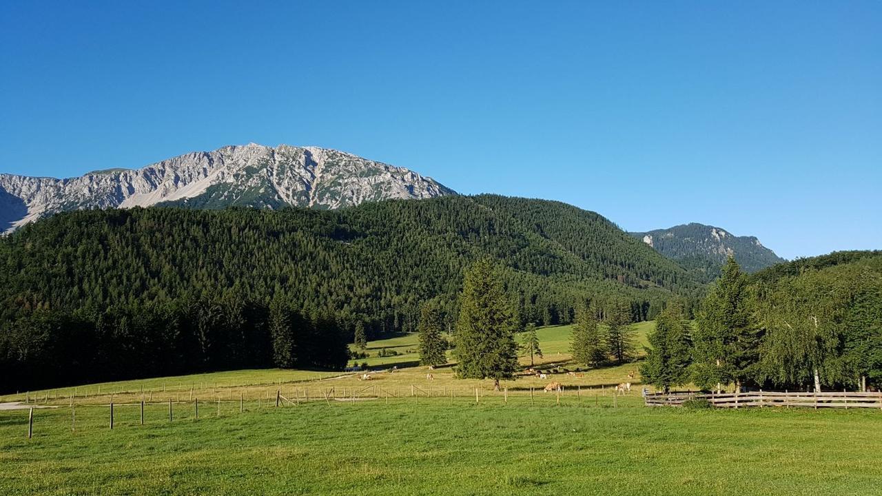 Ferienwohnungen Mamauwiese Gutenstein Екстериор снимка