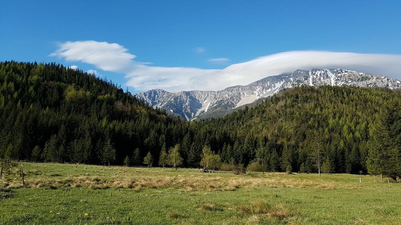 Ferienwohnungen Mamauwiese Gutenstein Екстериор снимка