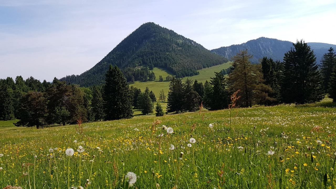 Ferienwohnungen Mamauwiese Gutenstein Екстериор снимка