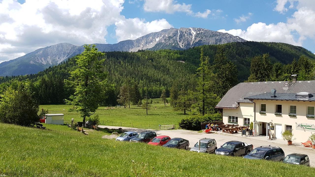 Ferienwohnungen Mamauwiese Gutenstein Екстериор снимка