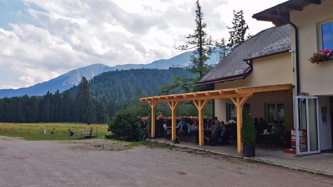 Ferienwohnungen Mamauwiese Gutenstein Екстериор снимка