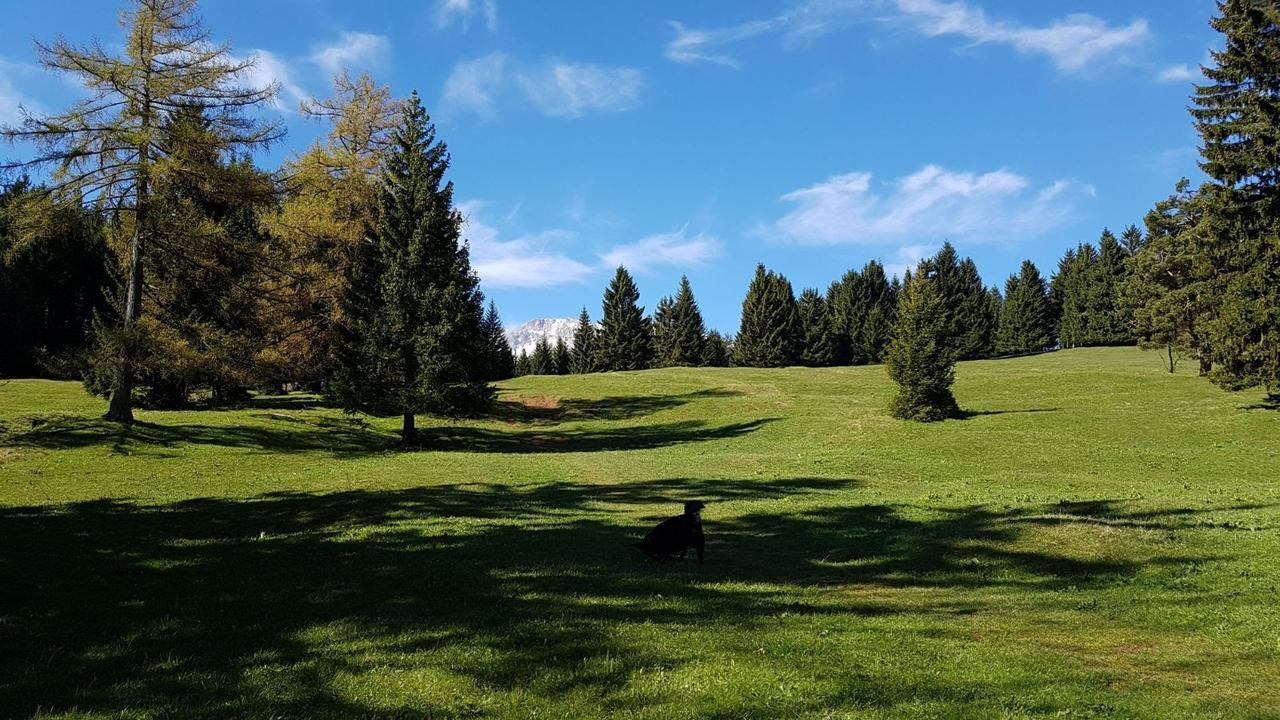 Ferienwohnungen Mamauwiese Gutenstein Екстериор снимка