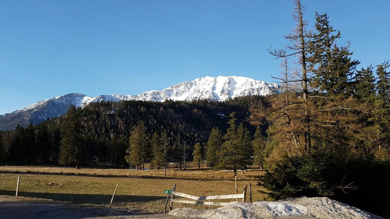 Ferienwohnungen Mamauwiese Gutenstein Екстериор снимка