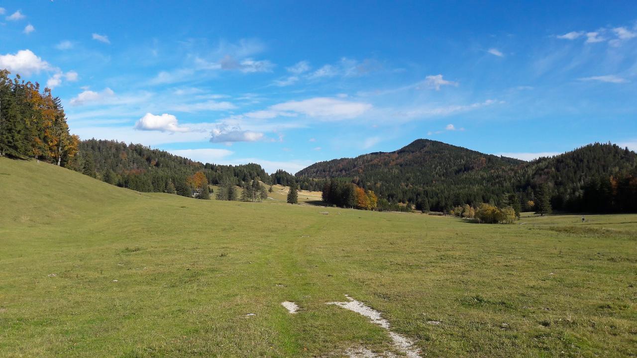 Ferienwohnungen Mamauwiese Gutenstein Екстериор снимка