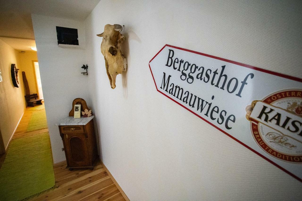 Ferienwohnungen Mamauwiese Gutenstein Екстериор снимка
