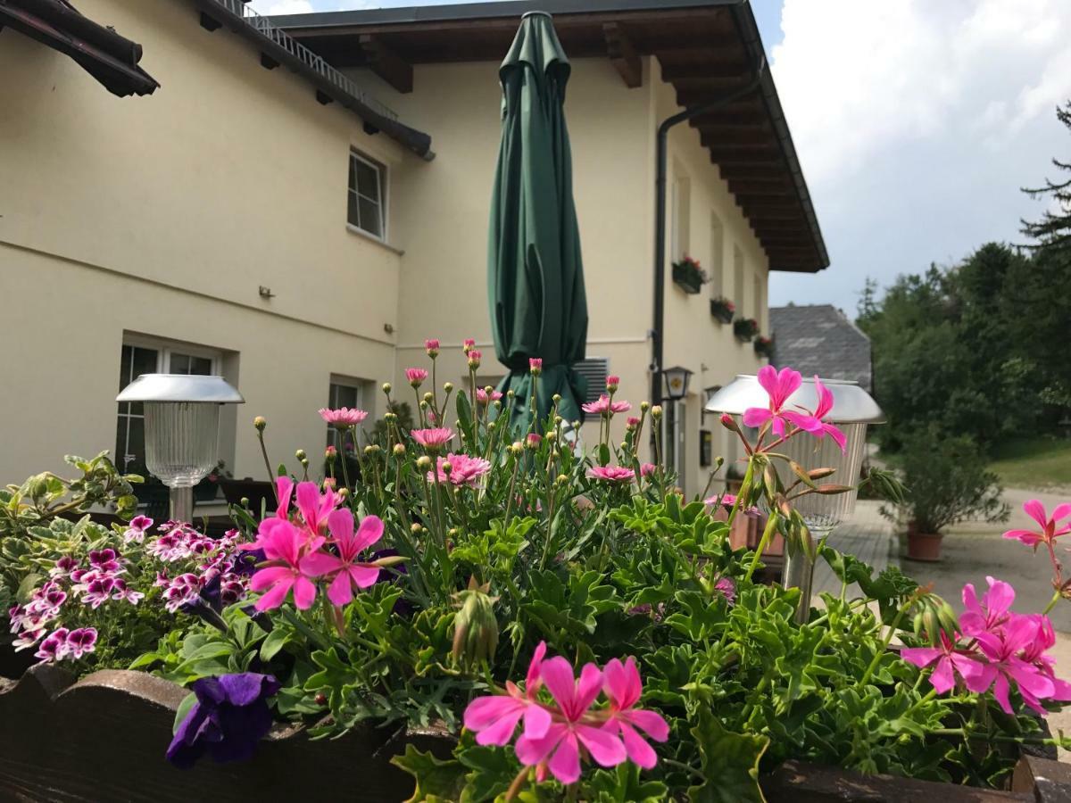 Ferienwohnungen Mamauwiese Gutenstein Екстериор снимка