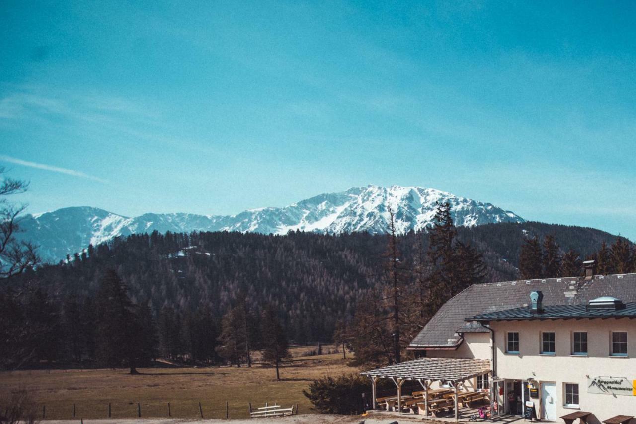 Ferienwohnungen Mamauwiese Gutenstein Екстериор снимка