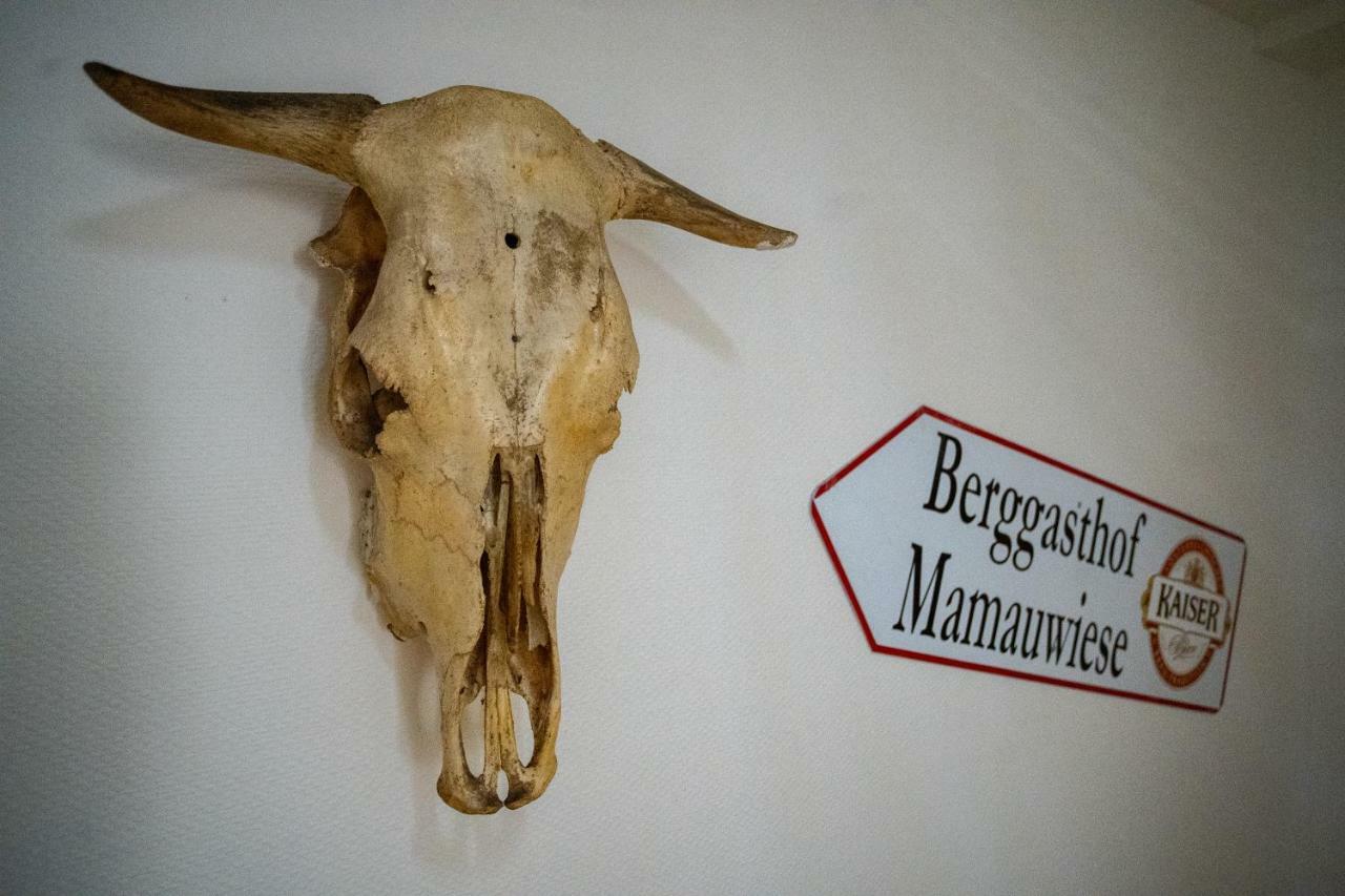 Ferienwohnungen Mamauwiese Gutenstein Екстериор снимка